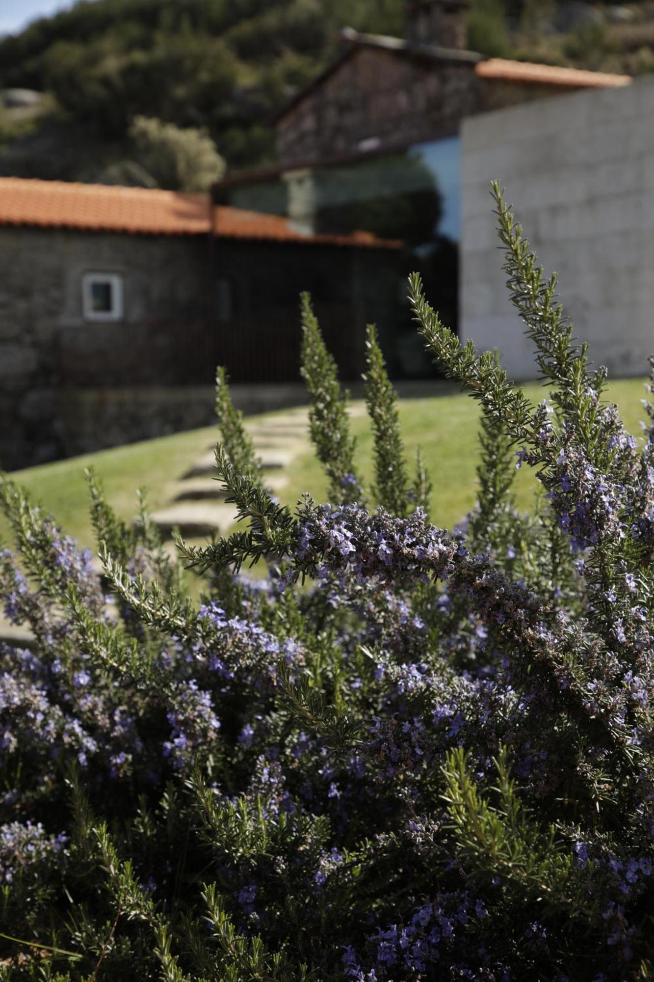 Geres - Leiras Do Tempo - Cottages Brufe Exteriér fotografie